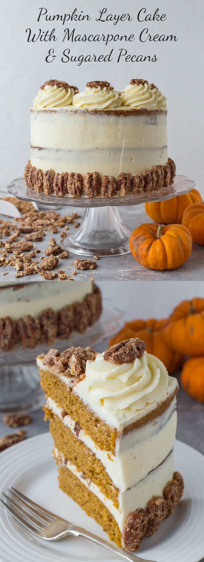 Pumpkin layer cake with mascarpone cream and sugared pecans - utterly irresistible! #pumpkin #cake #pumpkinspice #baking