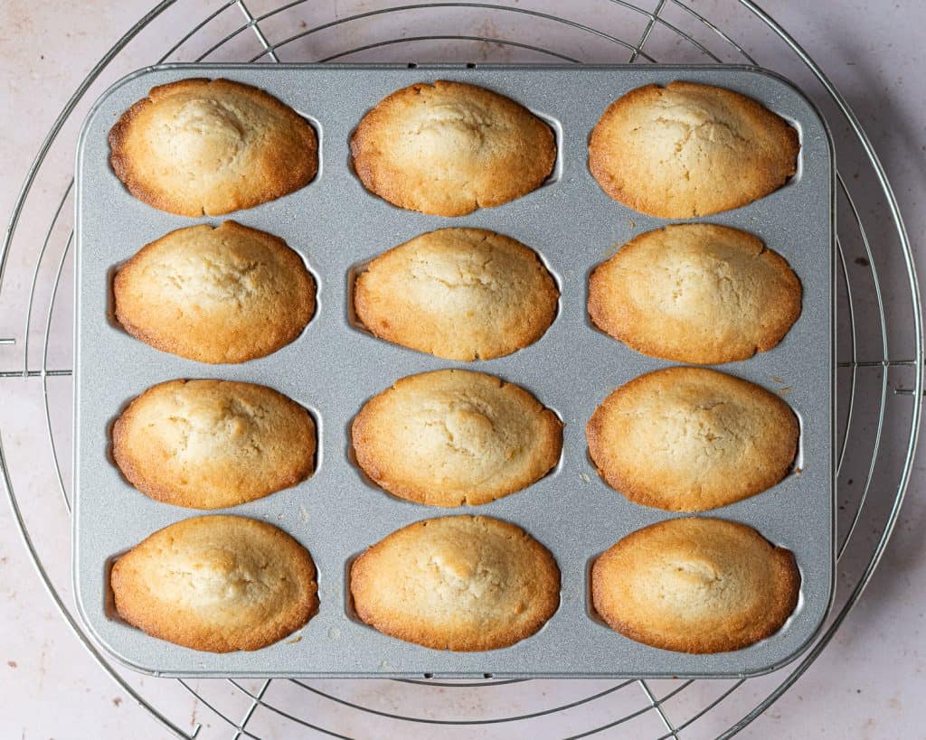 Step 3 - the baked Madeleines in their tin.