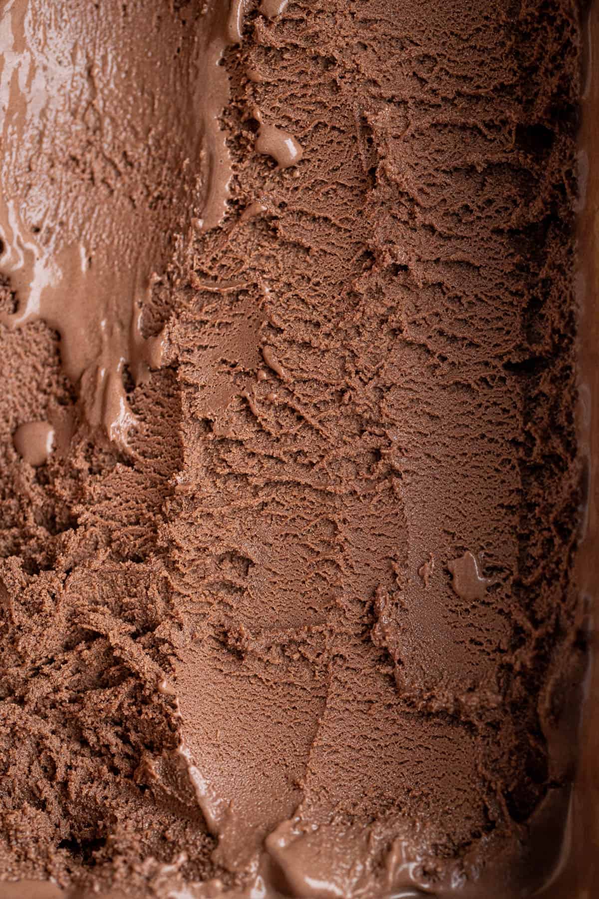 Close up of malted chocolate ice cream.