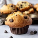 Close up of a vegan chocolate chip muffin.