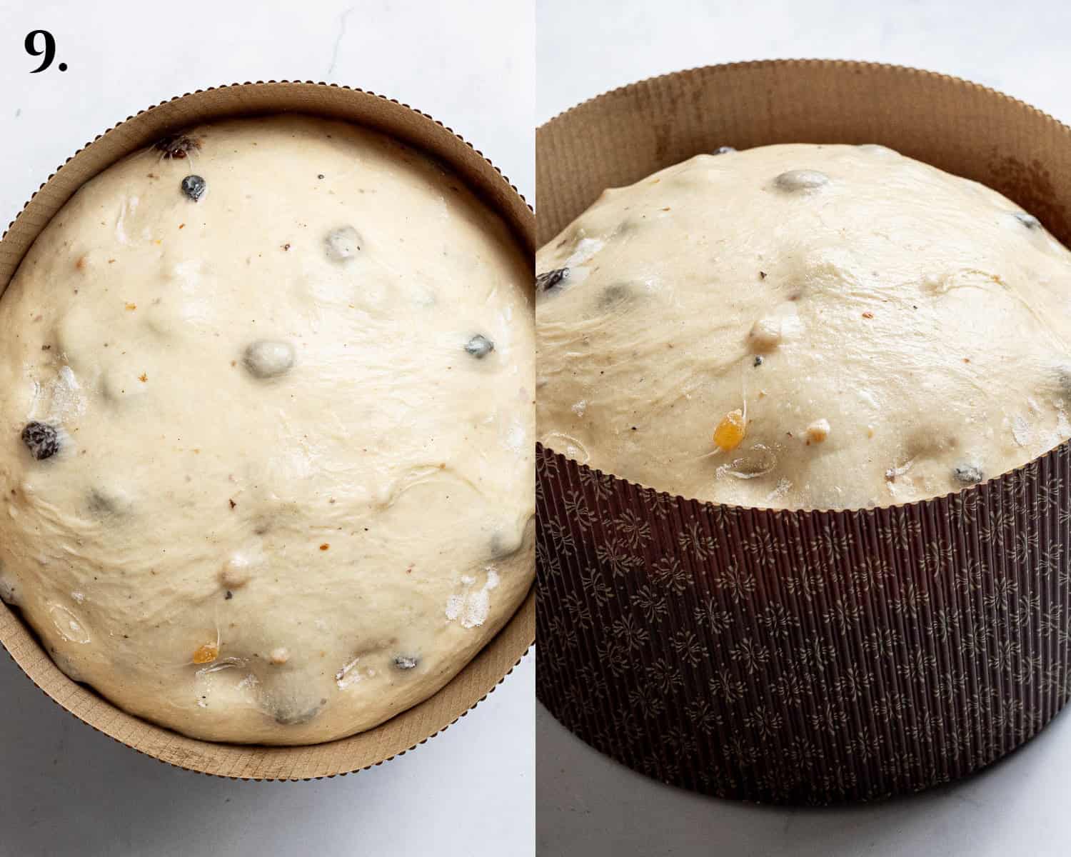 Step 9, the risen panettone in the paper mold.