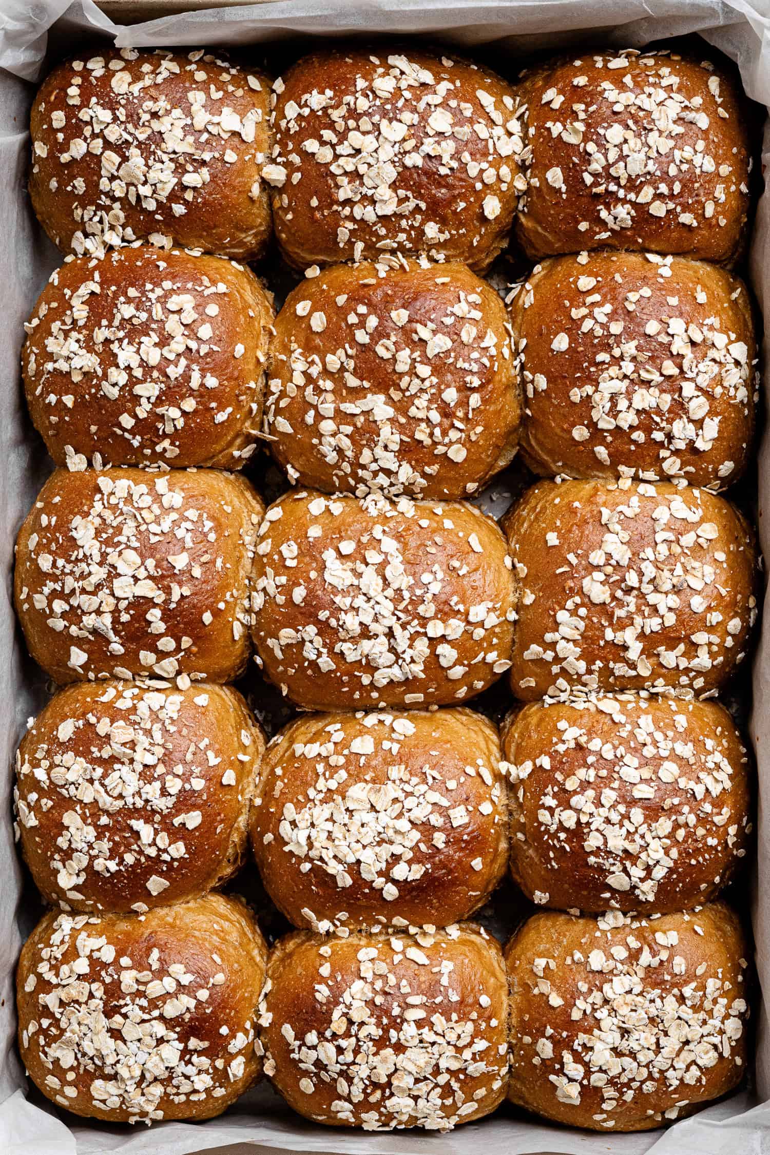 Close up shot of oatmeal molasses rolls in the baking pan.