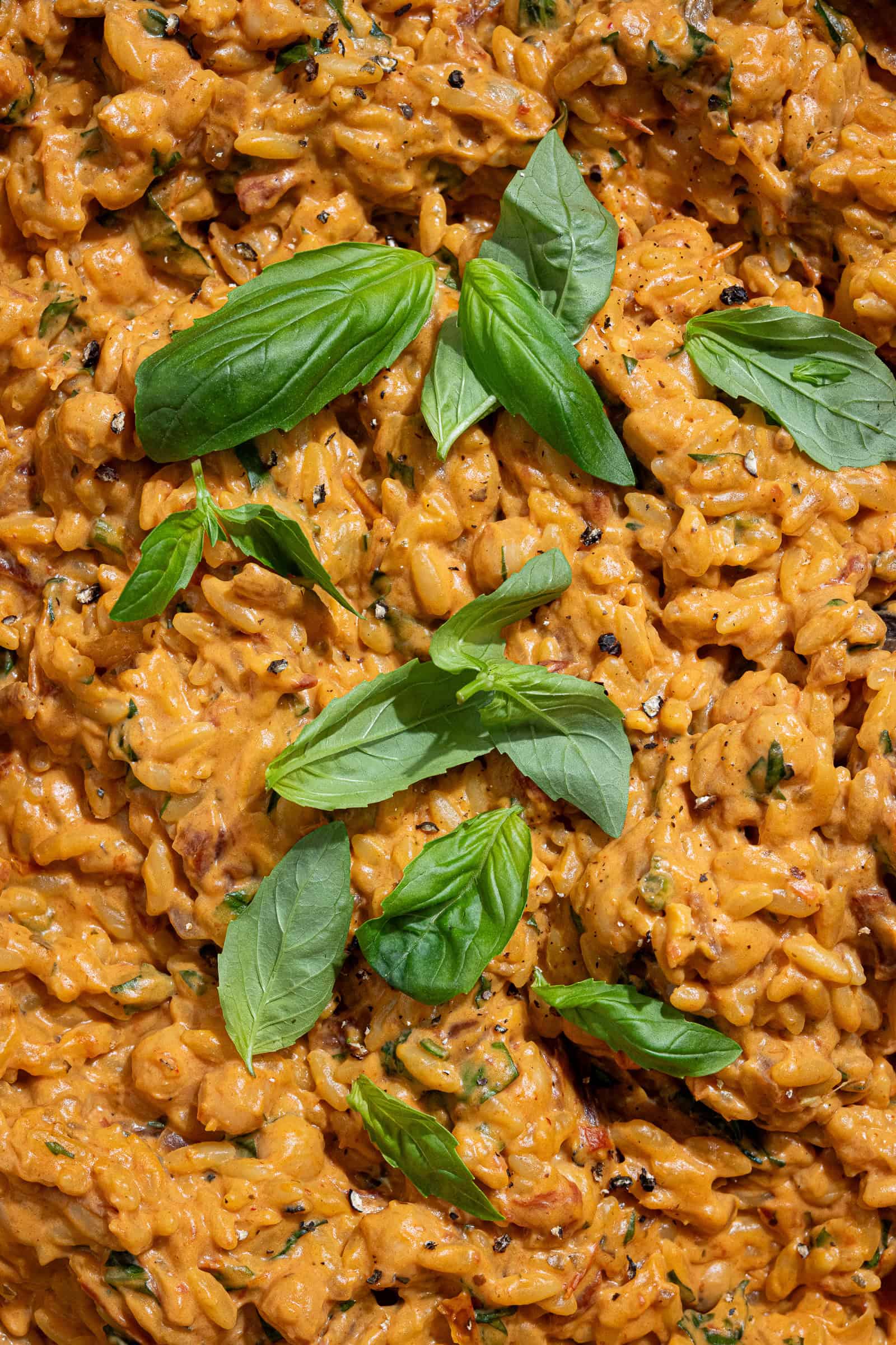 Macro shot of the creamy marry me orzo topped with fresh basil leaves.